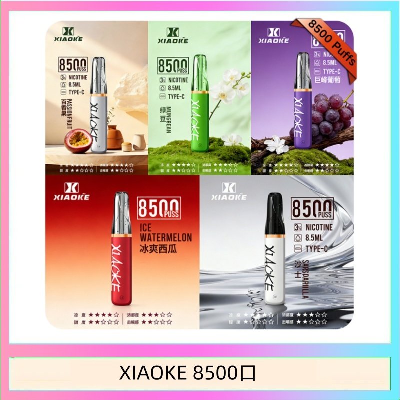 梟客XIAOKE一次性電子菸拋棄式8500口